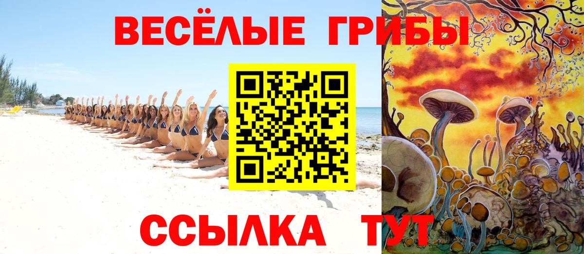 Псилоцибиновые грибы Psilocybe Семилуки